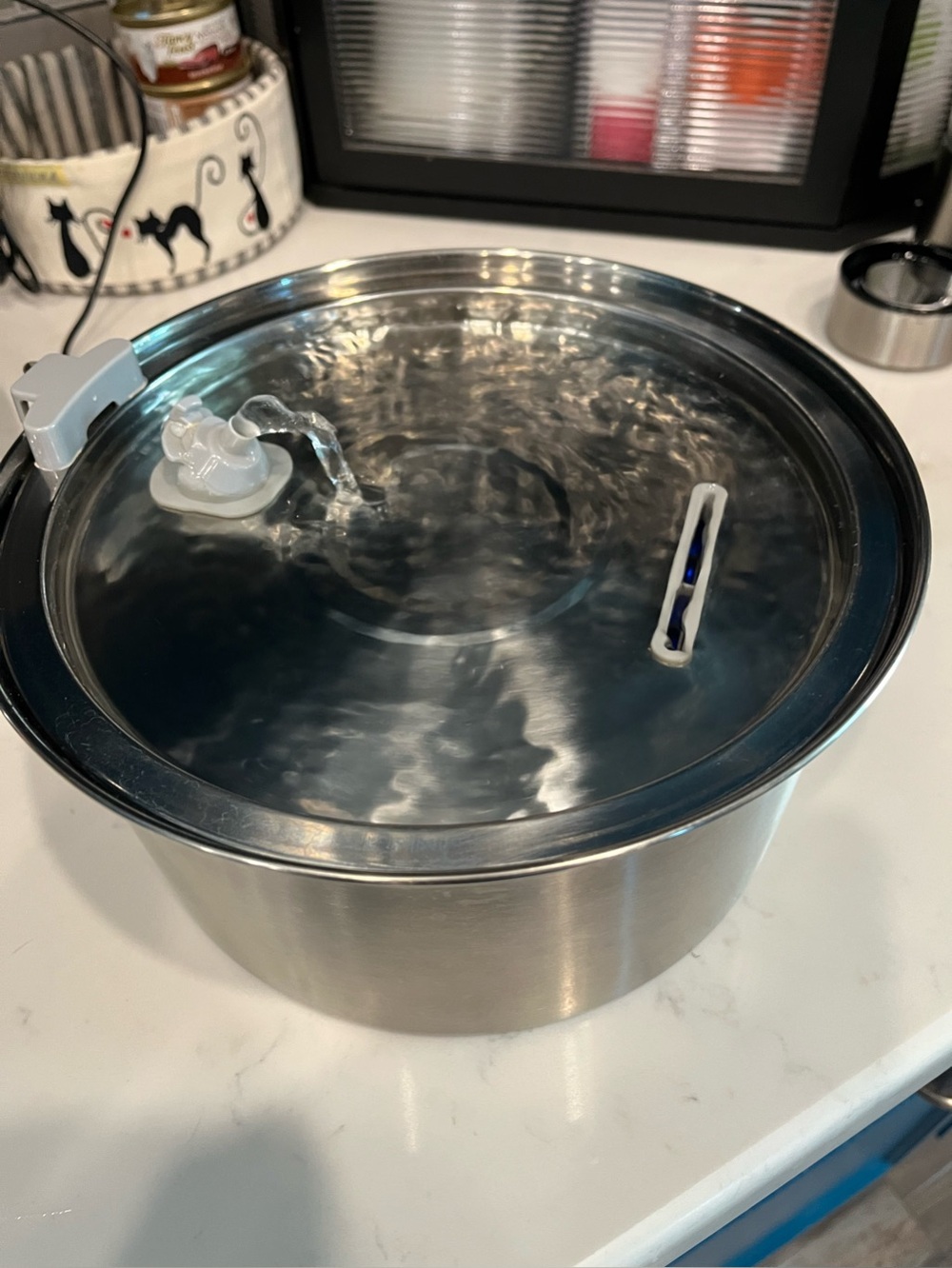 Pet Water Fountain